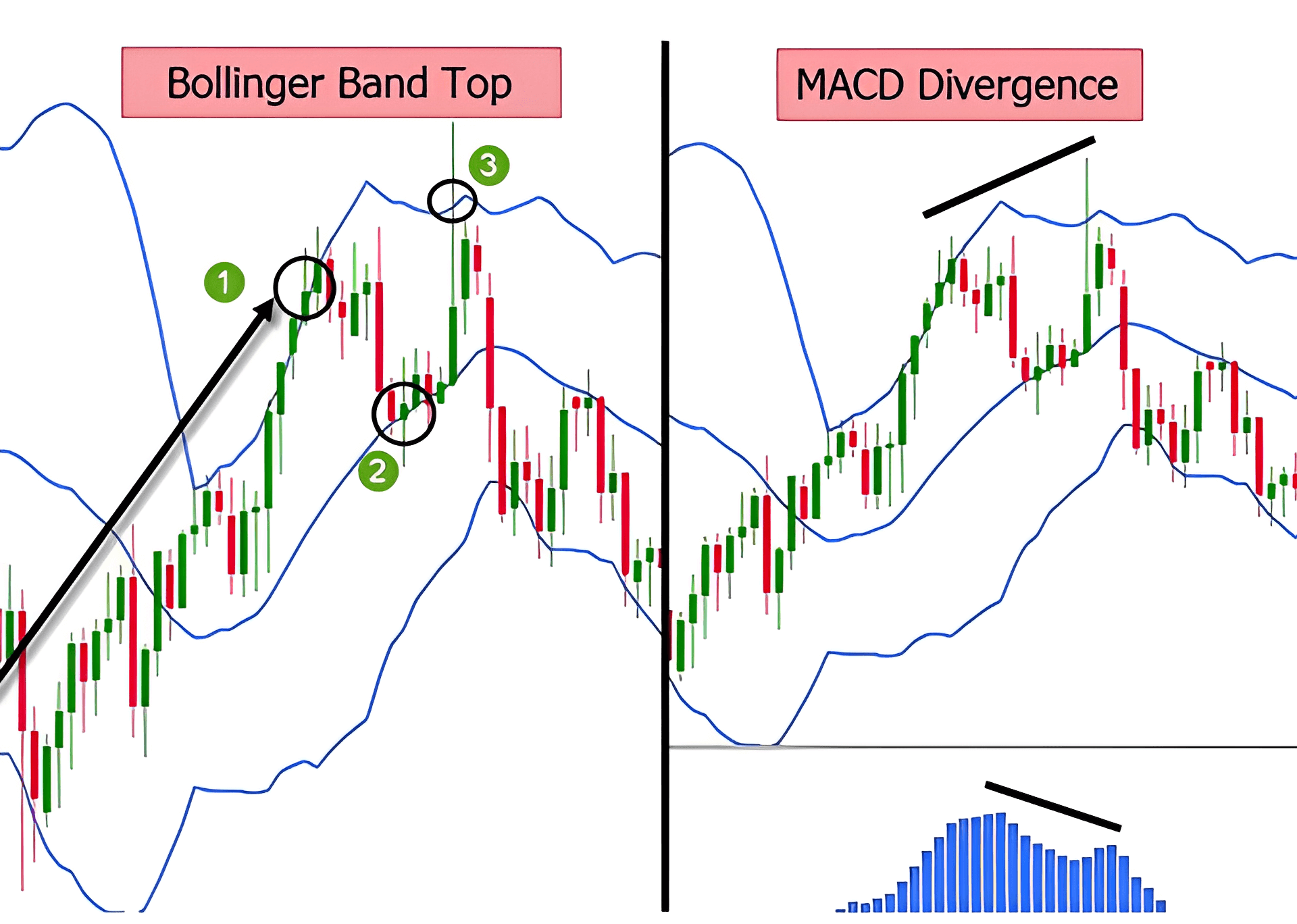 cryptocurrency bollinger bands and macd